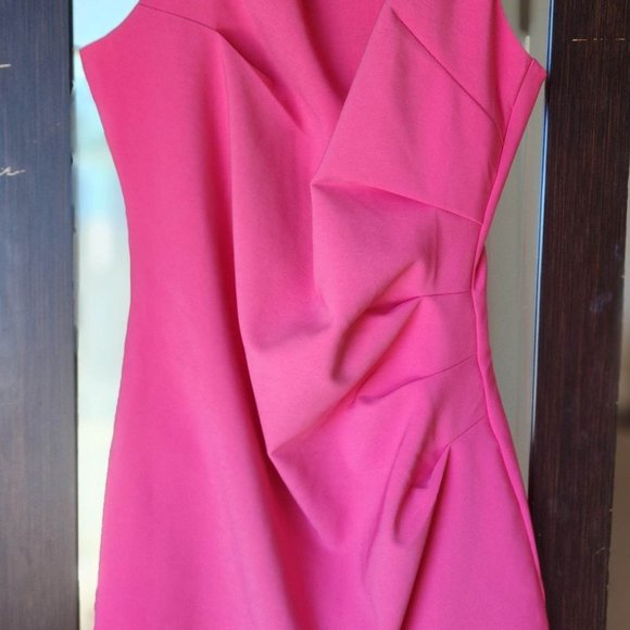 XS Pink Mini Dress with Side Ruching - Picture 6 of 6